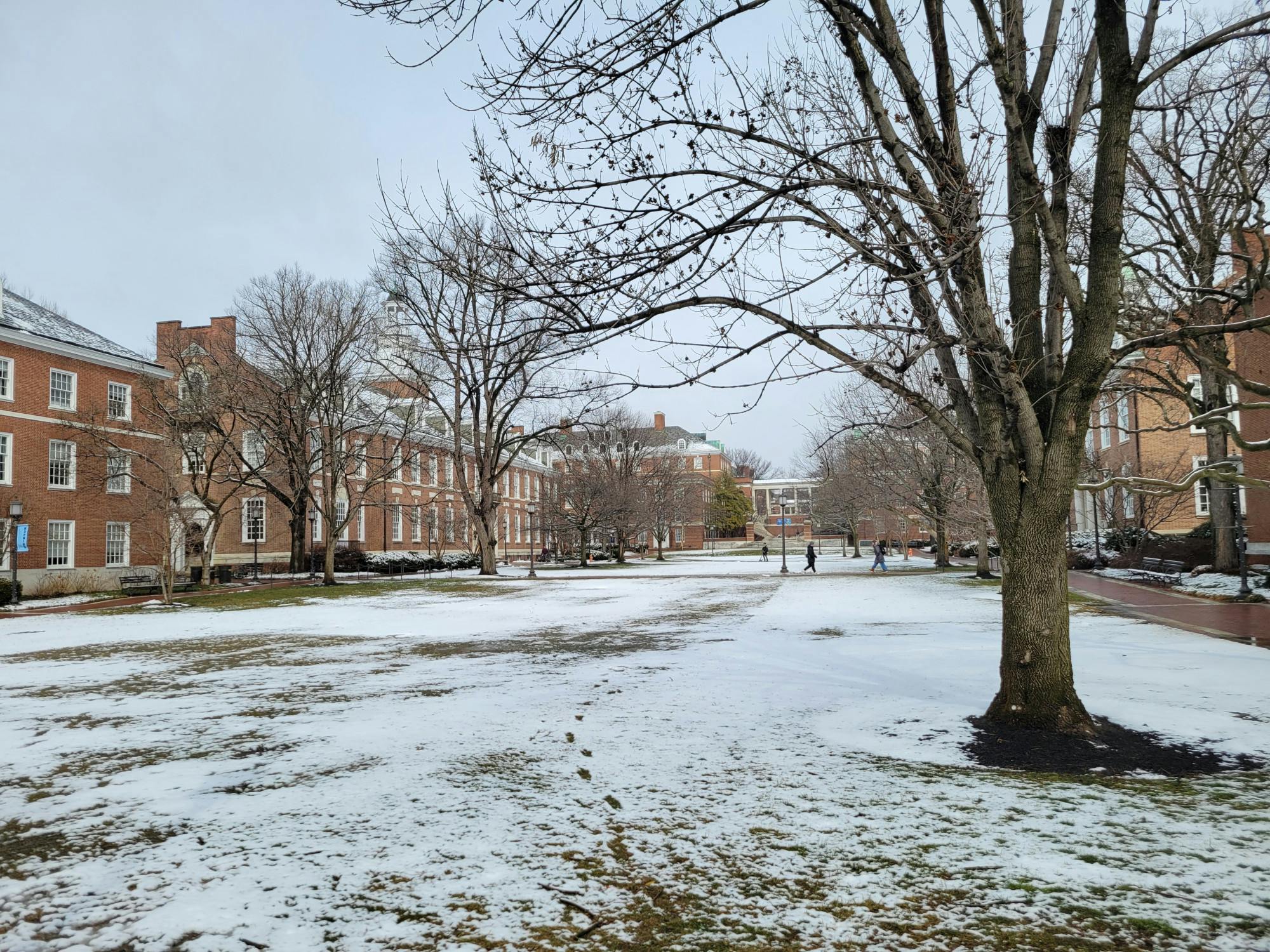 ERIC WANG / STAFF PHOTOGRAPHER
On Tuesday, Feb. 24 the Student Government Association (SGA) convened for its weekly meeting.