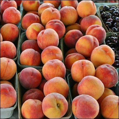 COURTESY OF LA GRANDE FARMERS’ MARKET VIA FLICKR
The genome of peaches was compared with that of other crops to understand its potential as a biofuel.
