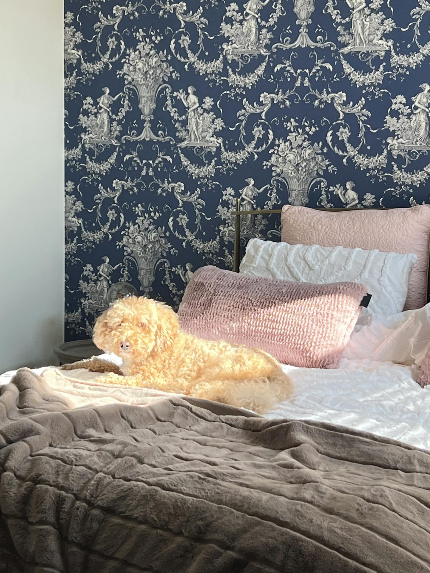 COURTESY OF SOPHIA PARK
Song shares tips on developing a healthy sleep schedule in college.