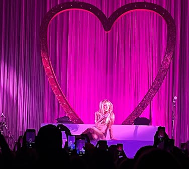 COURTESY OF ASHWATHA SURESH
Suresh offers tips on how to have the best concert experience possible through preparation and planning.