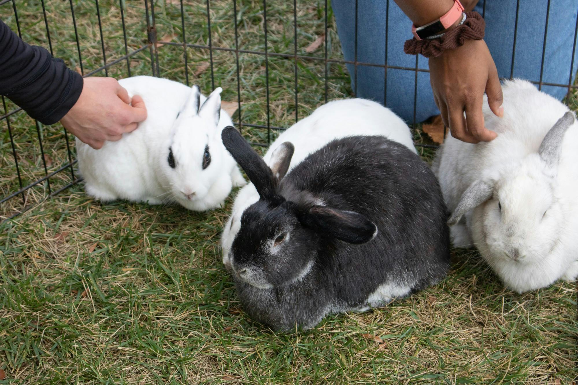 EDA INCEKARA/PHOTOGRAPHY EDITOR