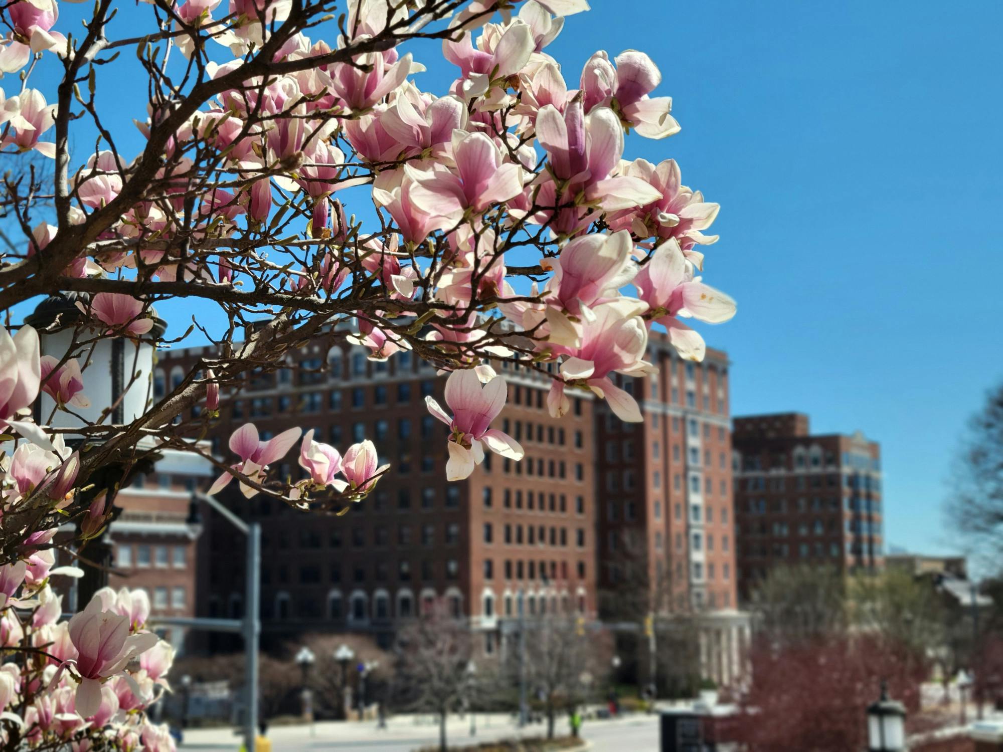 ERIC WANG / STAFF PHOTOGRAPHER
The News-Letter revisits the Charles Village Project, including the subsequent 2000s expansion projects, through University publications, contributing to the campus-wide reflection on the University’s 150-year history. &nbsp;&nbsp;