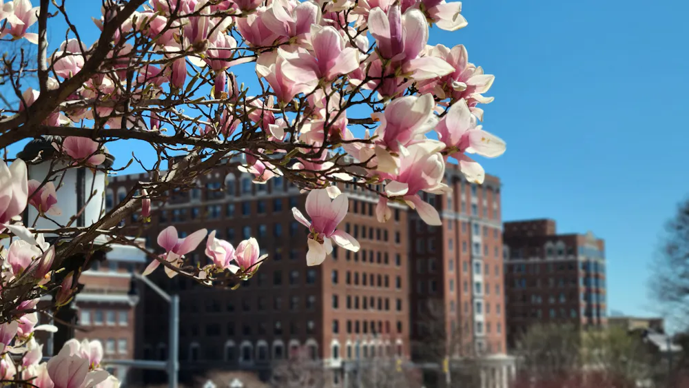 ERIC WANG / STAFF PHOTOGRAPHER
The News-Letter revisits the Charles Village Project, including the subsequent 2000s expansion projects, through University publications, contributing to the campus-wide reflection on the University’s 150-year history. 