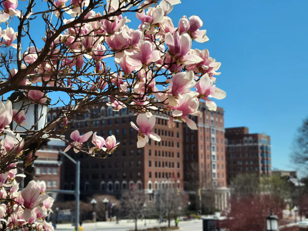 ERIC WANG / STAFF PHOTOGRAPHER
The News-Letter revisits the Charles Village Project, including the subsequent 2000s expansion projects, through University publications, contributing to the campus-wide reflection on the University’s 150-year history. 