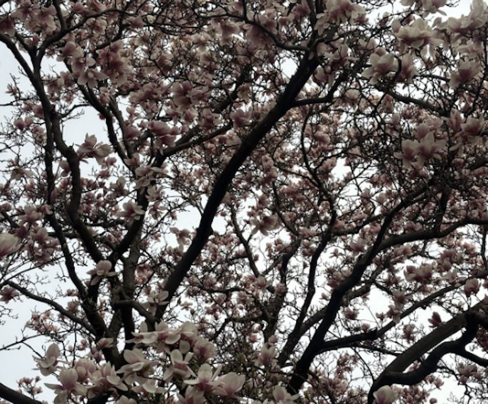 screenshot-2026-03-31-at-6-04-15-pm