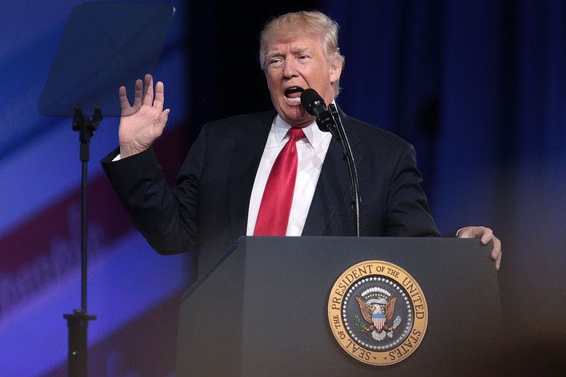 GAGE SKIDMORE/CC BY-SA 2.0
Novetsky draws negative parallels between biblical King Jehoiakim and President Trump.