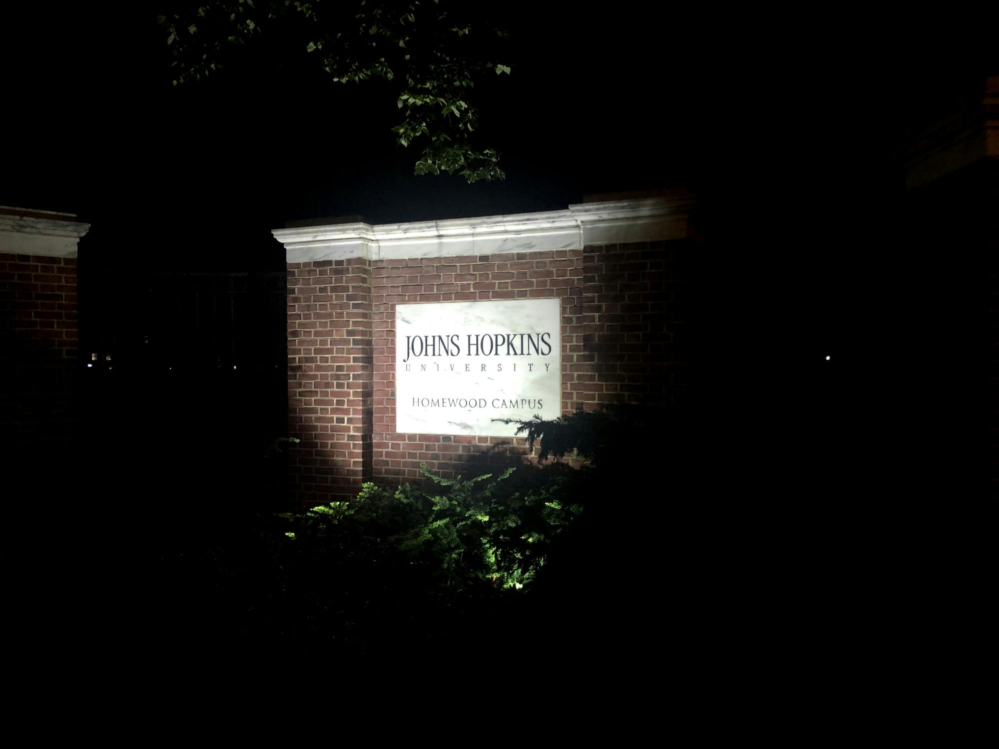 COURTESY OF CHRIS H. PARK
While students are unable to have a traditional gap year experience due to the coronavirus pandemic, many admitted students who chose to postpone their matriculation to Hopkins are seeking ways to have a meaningful experience.