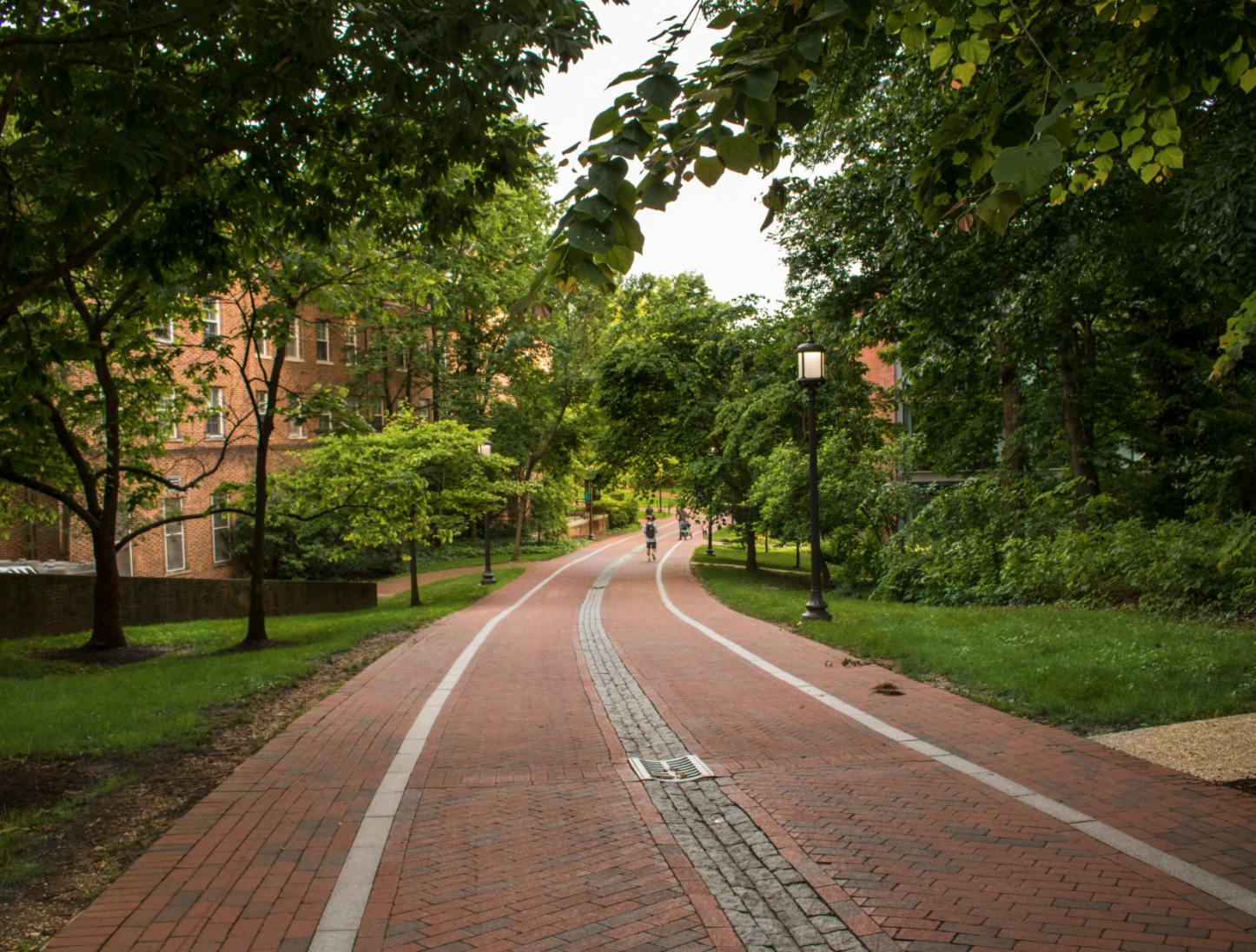 FILE PHOTO
Students assess the mental health resources the University has offered since the beginning of the pandemic.&nbsp;