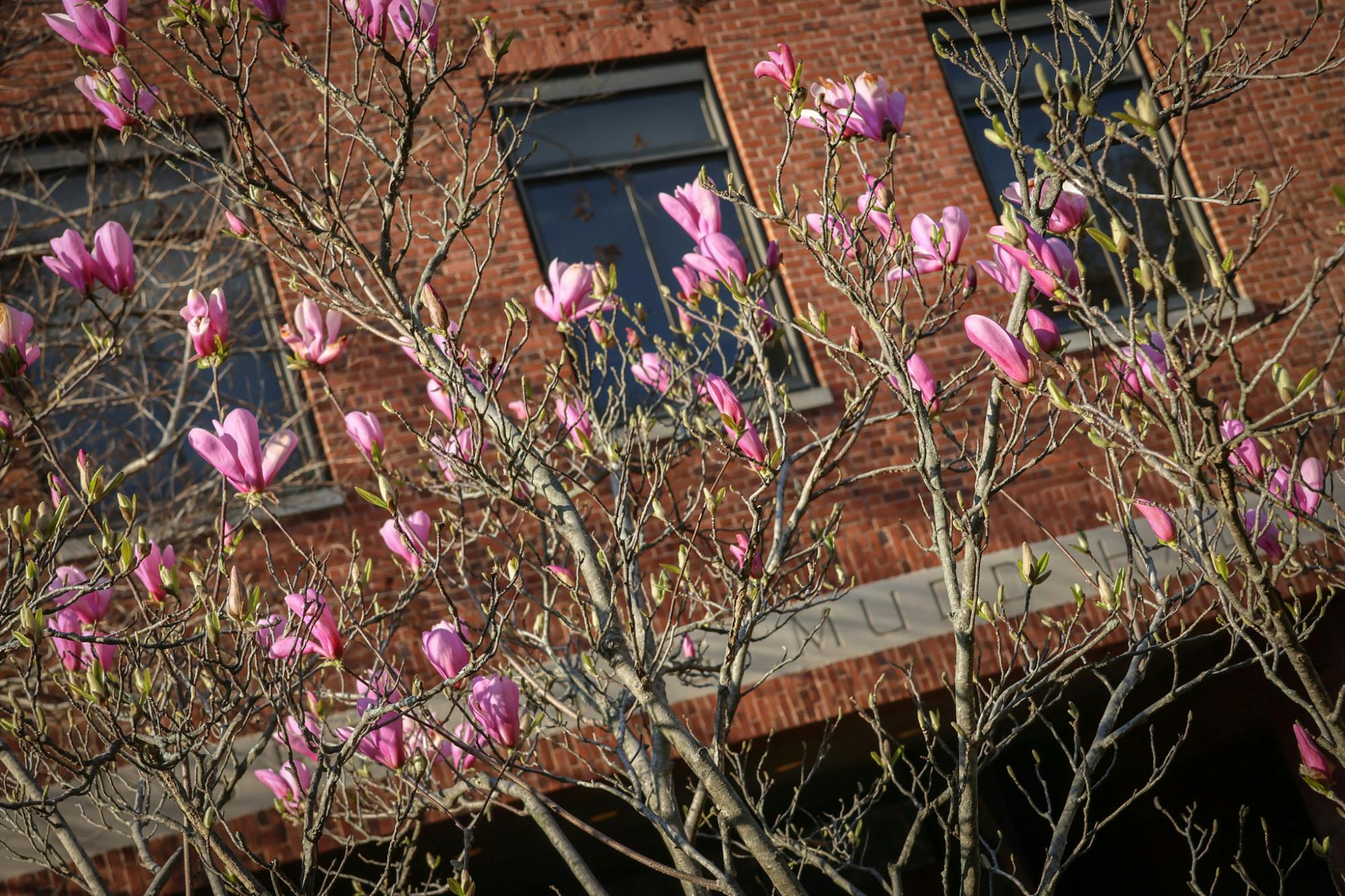 STEVEN SIMPSON / PHOTO EDITOR
SGA voted not to pass the Fiji Islander Funding Bill due to financial constraints.