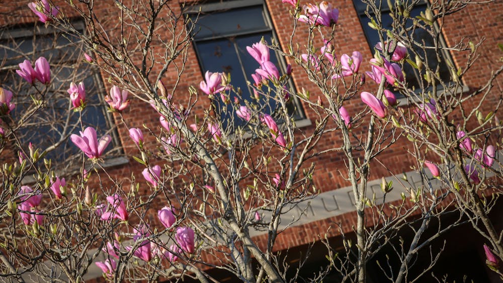 STEVEN SIMPSON / PHOTO EDITOR
SGA voted not to pass the Fiji Islander Funding Bill due to financial constraints.