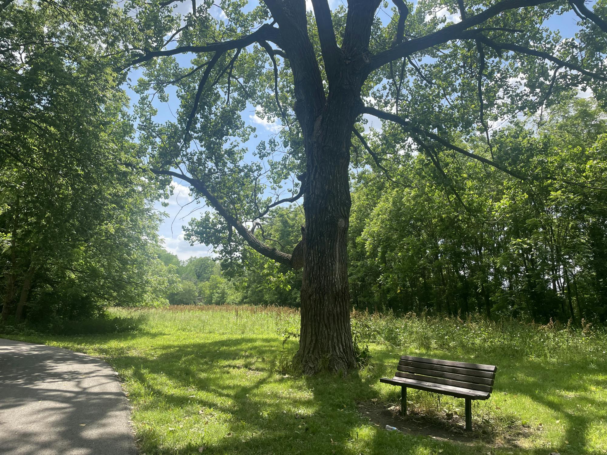 COURTESY OF RILEY STRAIT
Strait describes the experience of leaving Kansas and reflects on his changing feelings towards his home state.