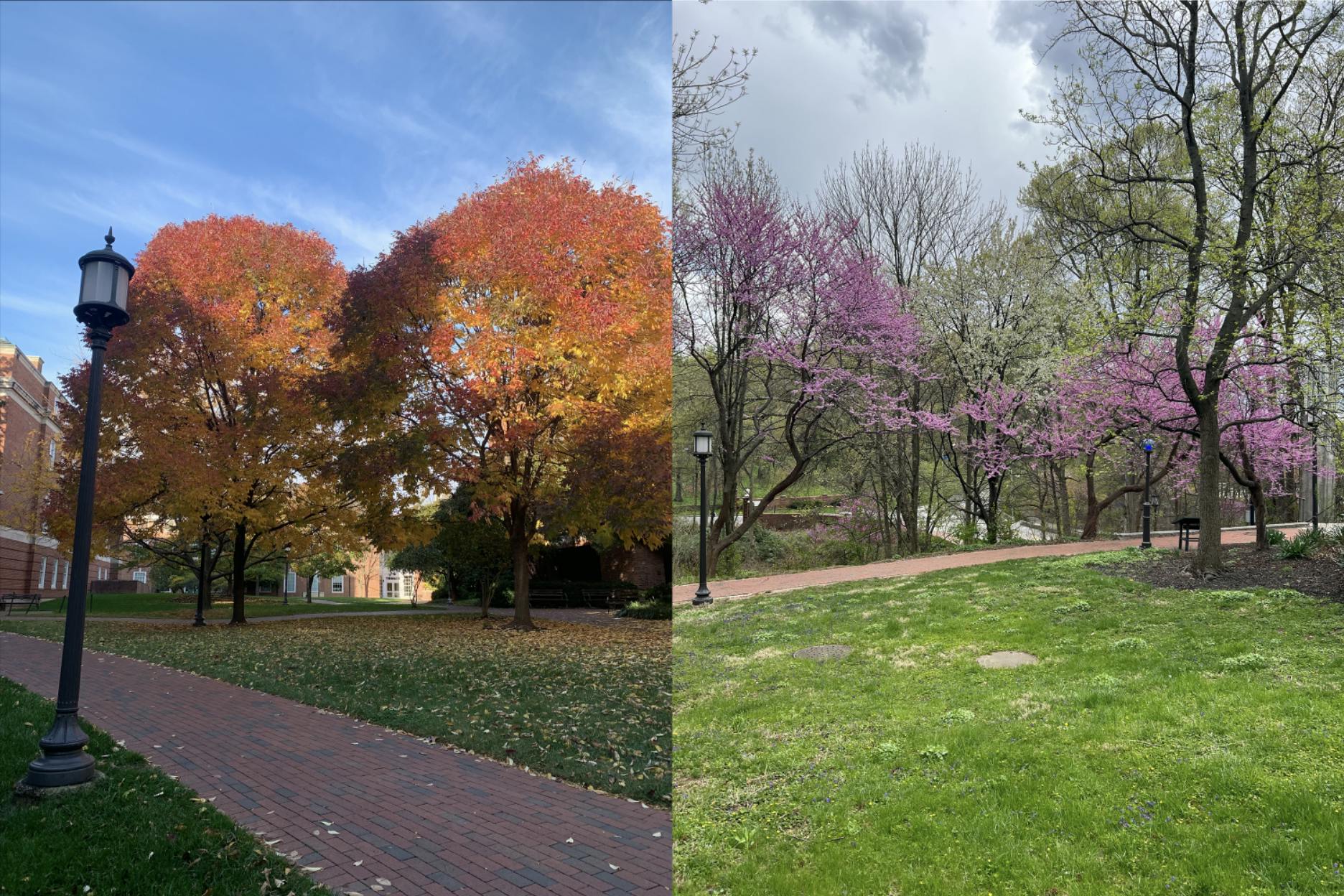 COURTESY OF ALEX PAN
The college transition can be challenging, but actively exploring campus resources will help you feel more comfortable in your new home.