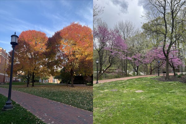 making_homewood_campus_your_home.png