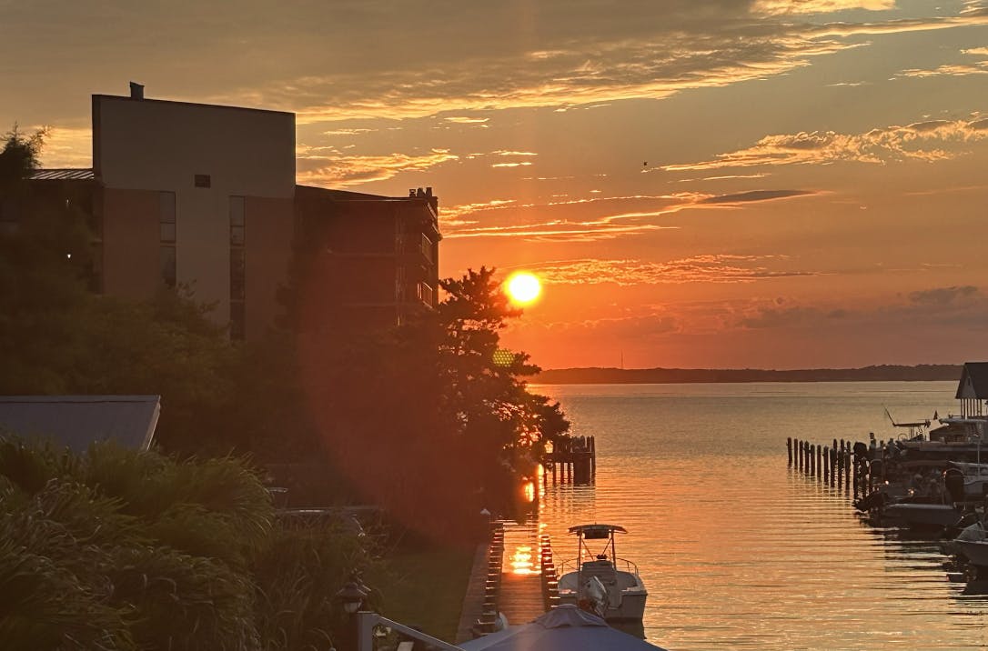 COURTESY OF CATHERINE CHAN
Chan writes an ode to East Coast summers.