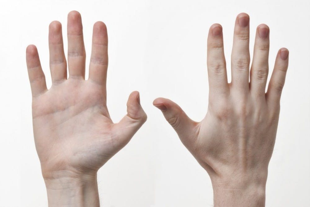  Evan/CC-BY-SA-3.0
The smaller the index-to-ring finger ratio the greater the amount of testosterone present.