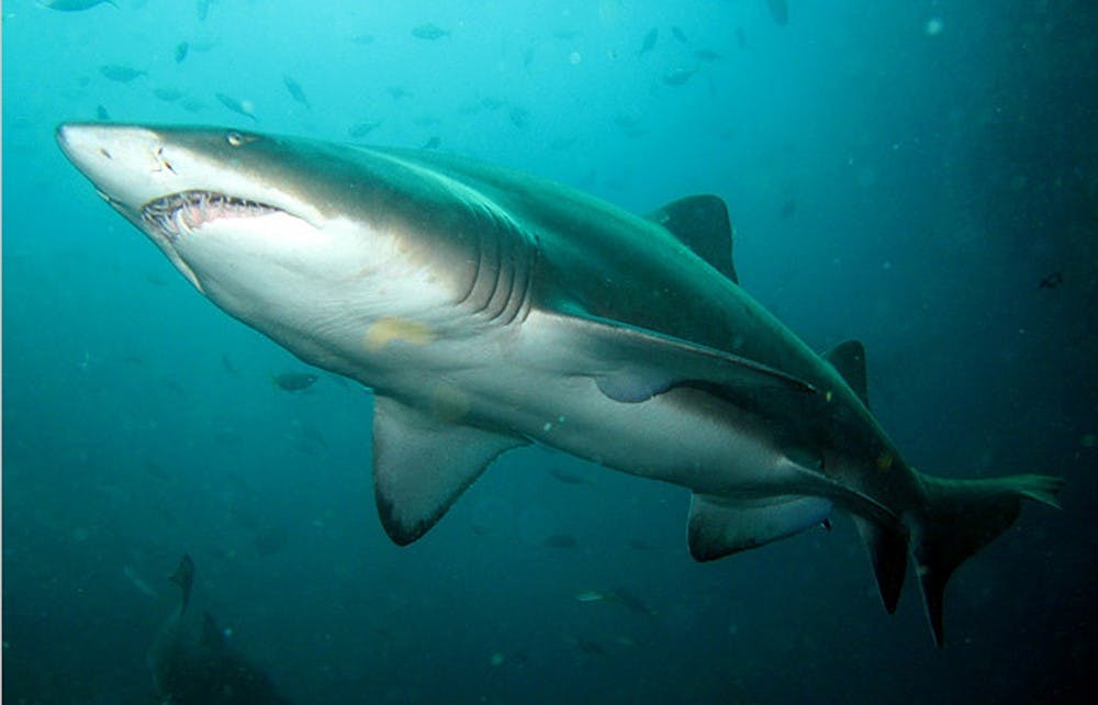 richard ling via flickr