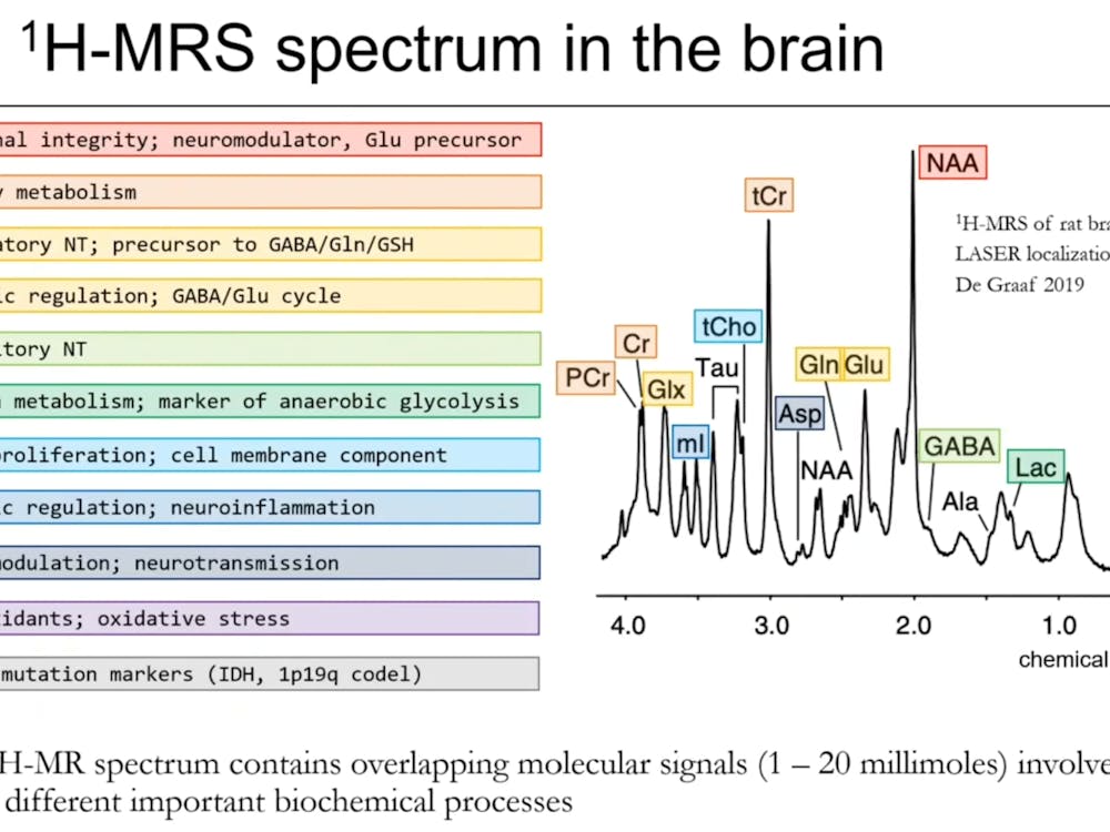 COURTESY OF GEORG OELTZSCHNER