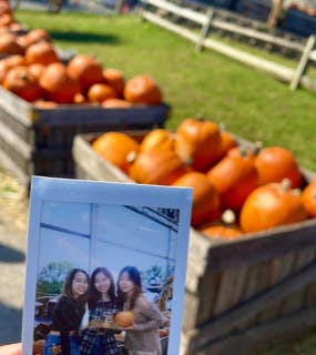 COURTESY OF MICHELLE LIMPE
Limpe and her closest friends were able to enjoy a refreshing day out at Weber's Cider Mill Farm.&nbsp;