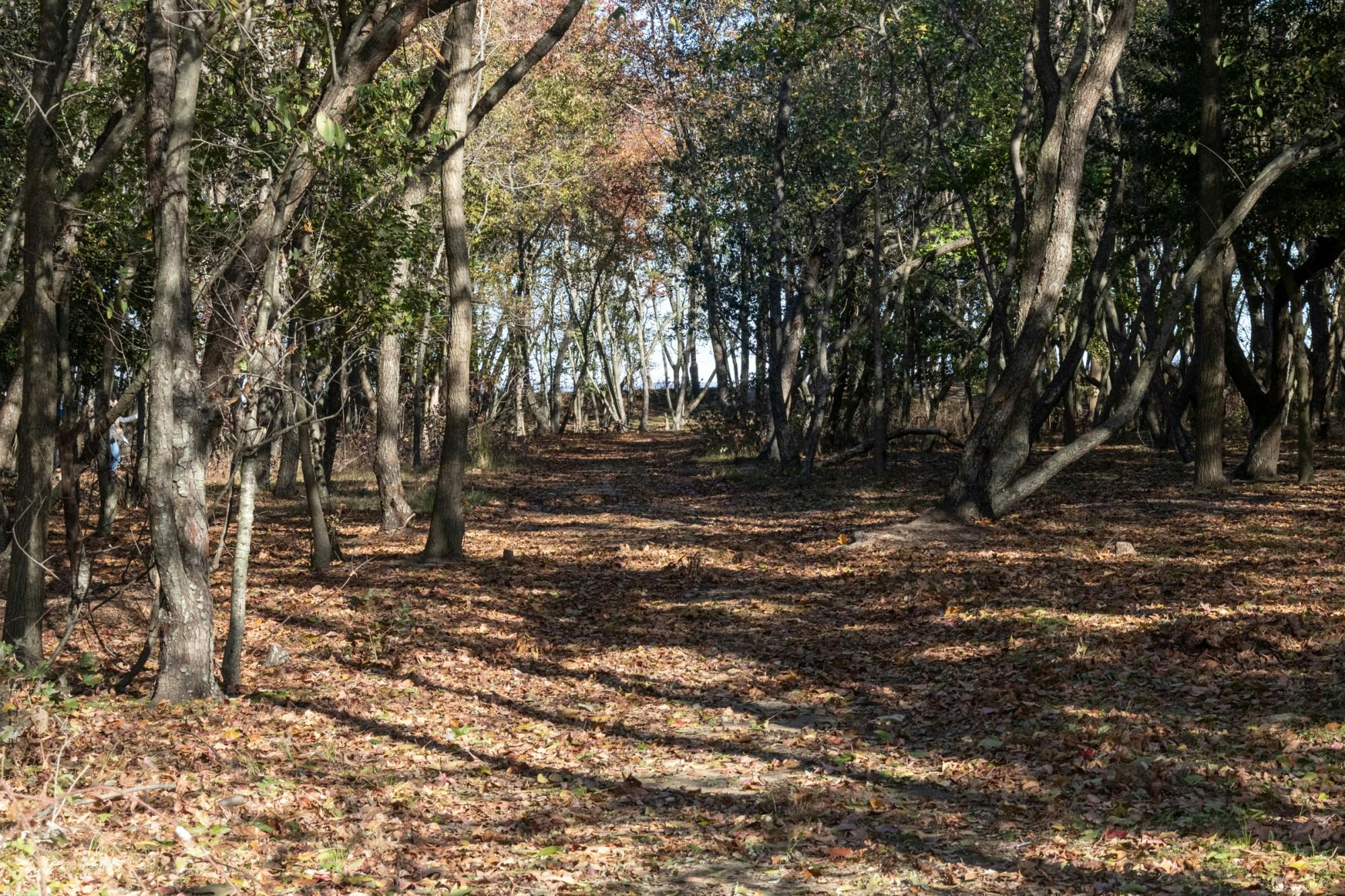 EDA INCEKARA/PHOTOGRAPHY EDITOR