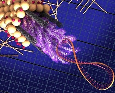 mit.edu
The LiO2 battery was designed to model the structure of the M13 virus.