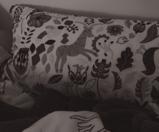 COURTESY OF JULIA ALUMBRO
Sarah Manguso’s debut novel Very Cold People is a thought-provoking examination of what it means to grow up.