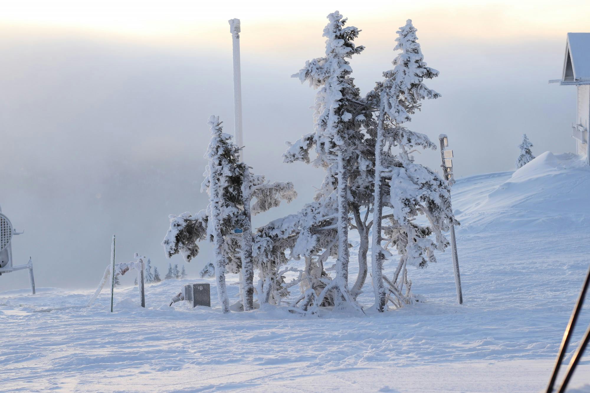 COURTESY OF CAS GUSTAFSSON