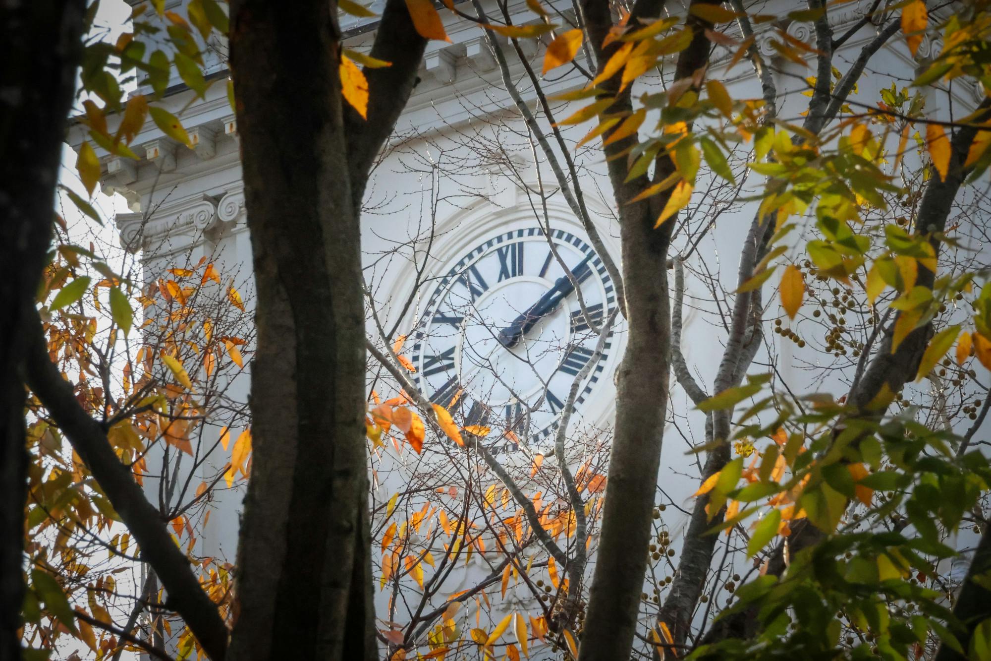 STEVEN SIMPSON / PHOTO EDITOR
The SGA Senate passed a resolution calling on the University to address the drop in Black and Latino student enrollment in admissions, following the reversal of affirmative action.&nbsp;