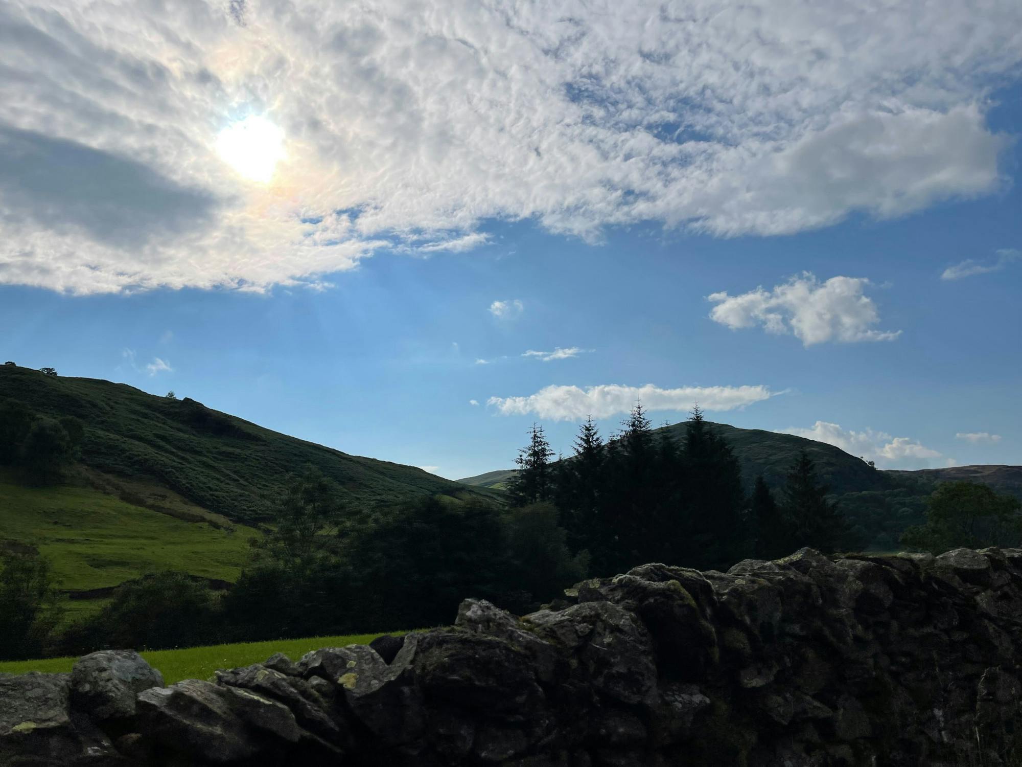 COURTESY OF MOLLY GAHAGEN
After unexpected changes to her summer plans, Molly learns to embrace the small joys of restful living.