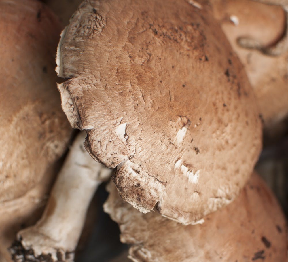 ELTON MORRIS/CC BY-ND 3.0
Portabella mushrooms can be used as batteries.  