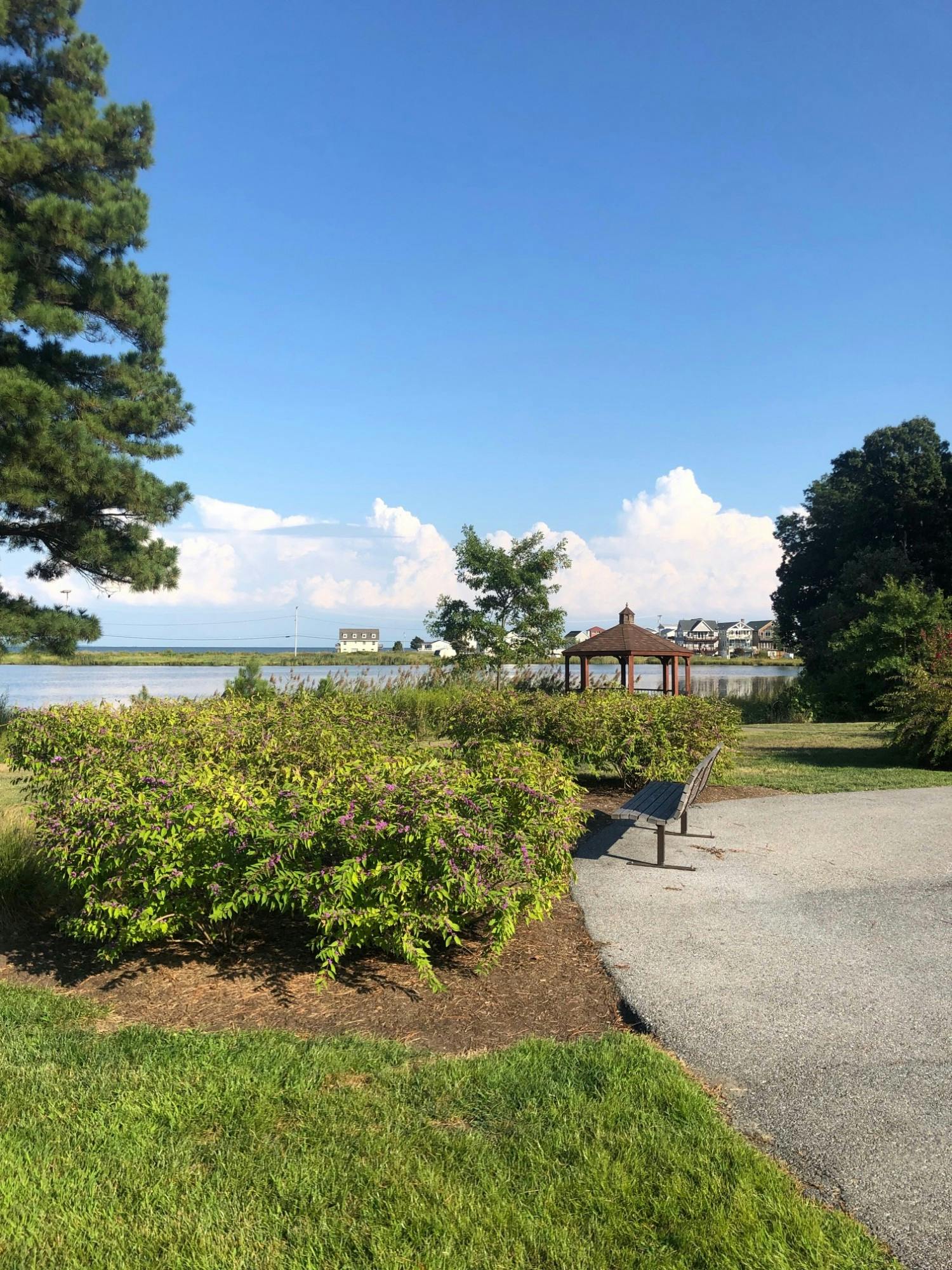 COURTESY OF NEHA SANGANA