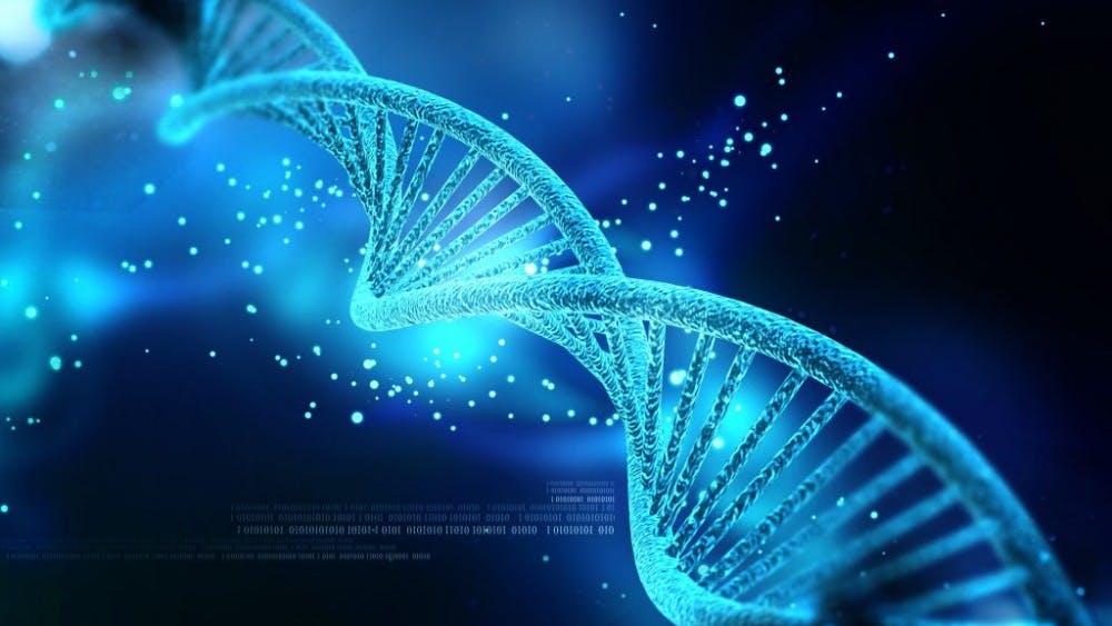  Nogas1974/CC-By-SA-4.0
DNA could be used to store data.