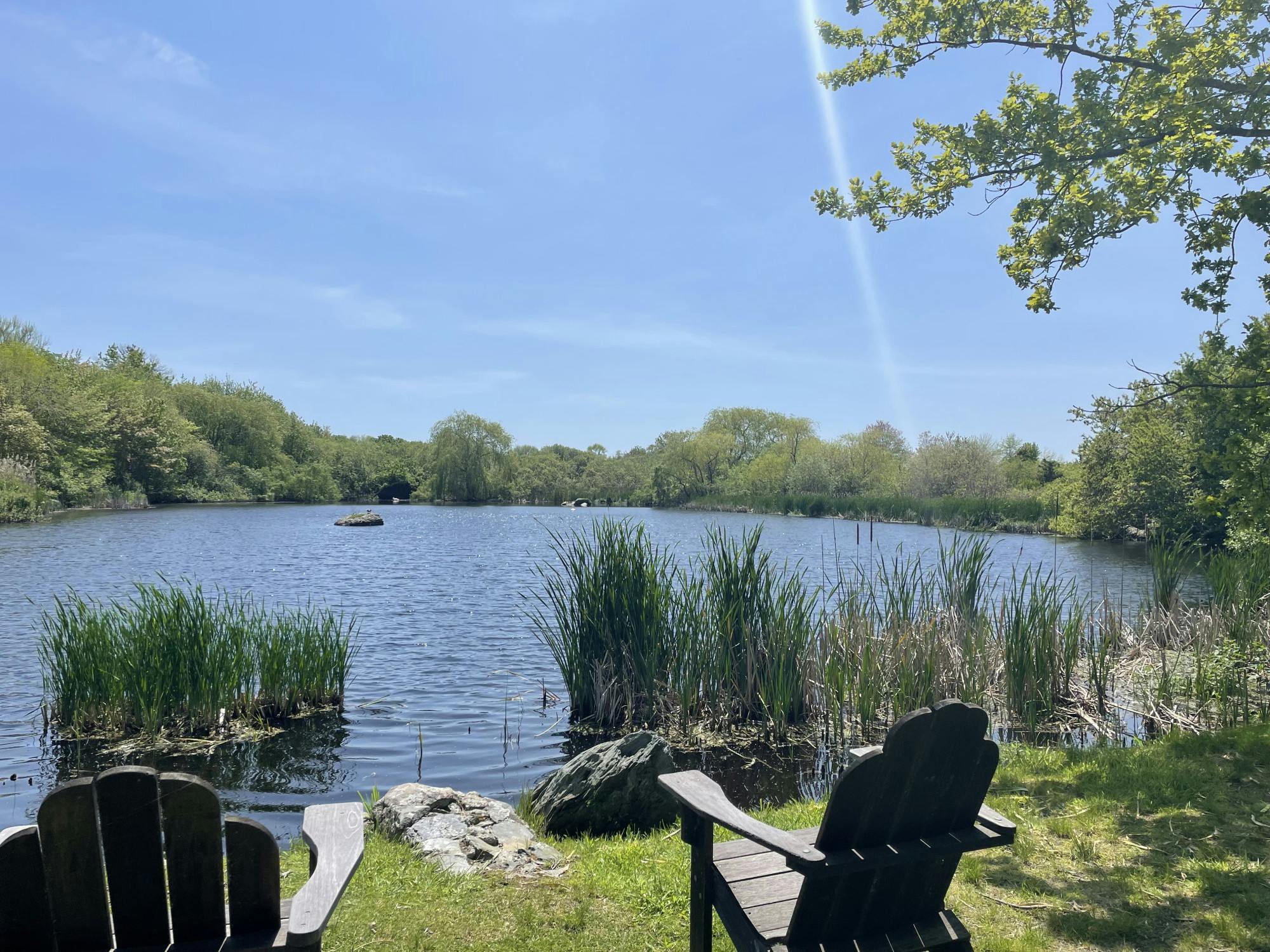 COURTESY OF YANA MULANI
Mulani leaves the idea of New Year’s or start of the semester resolutions behind and chooses to welcome change when she truly desires it.