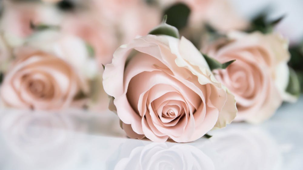 MARIA EKLIND/CC BY-SA 2.0
Season 24 of The Bachelor returns with even more dramatic indulgence.