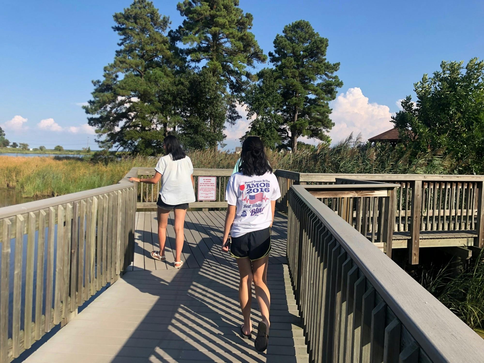 COURTESY OF NEHA SANGANA