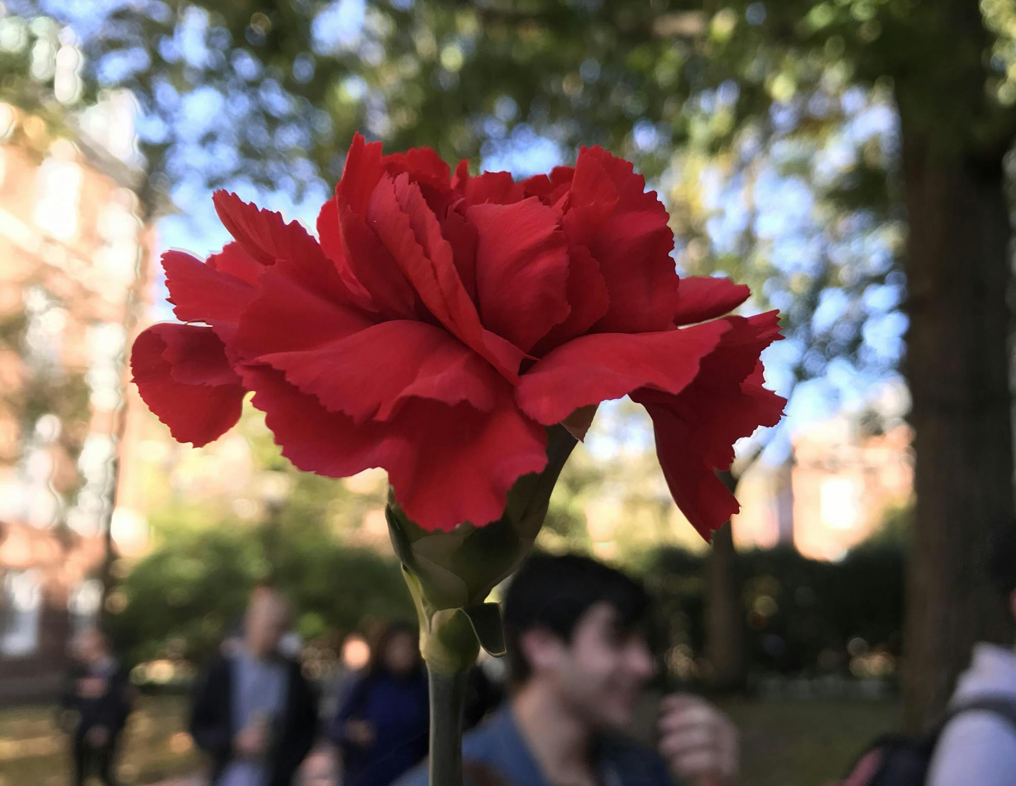 COURTESY OF SHIZHENG “JJ” TIE
After transferring into Hopkins and spending three semesters online, Tie acknowledges her unorthodox route to graduation.
