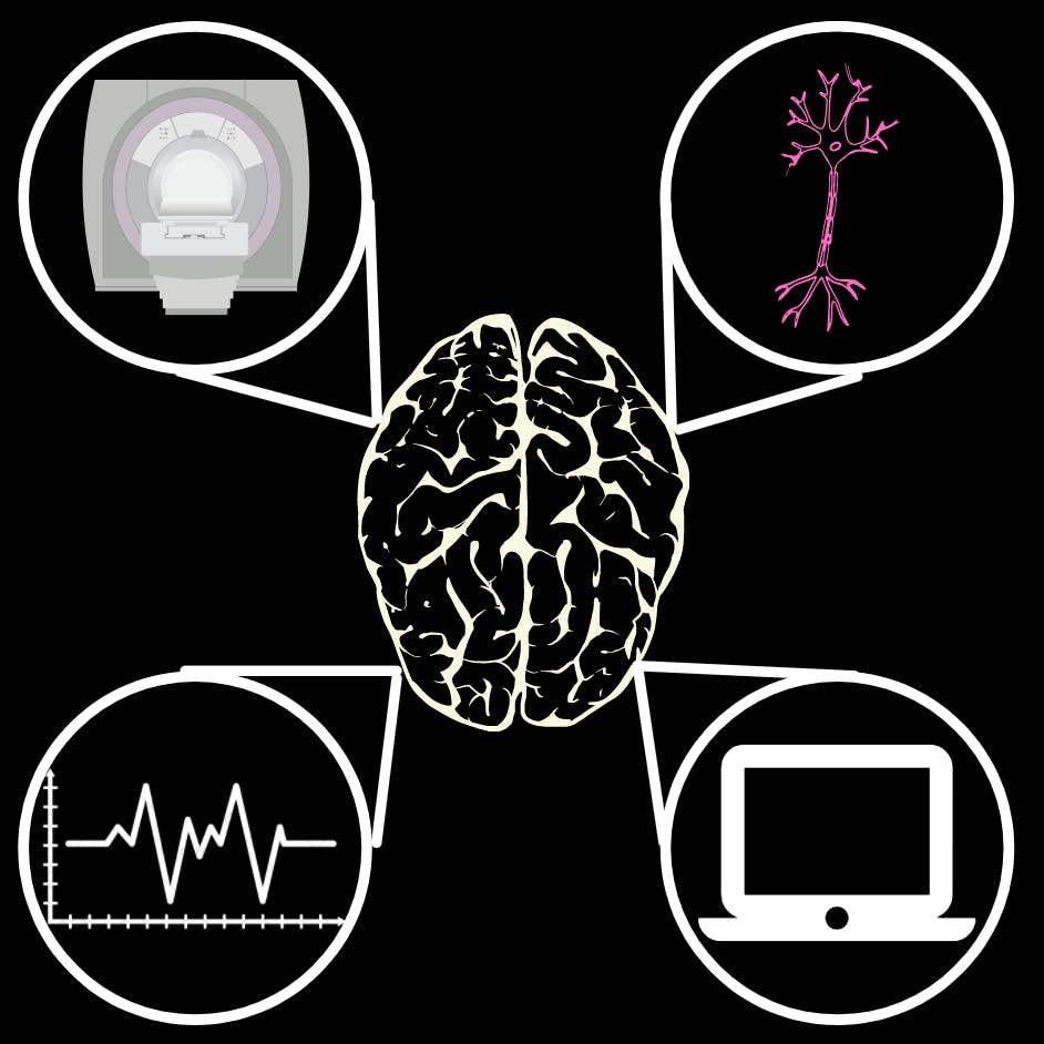 LAKSHAY SOOD/LAYOUT EDITOR&nbsp;&nbsp;
Focus areas within the major range from Cellular and Molecular Neuroscience to the newer Computational Neuroscience track.
