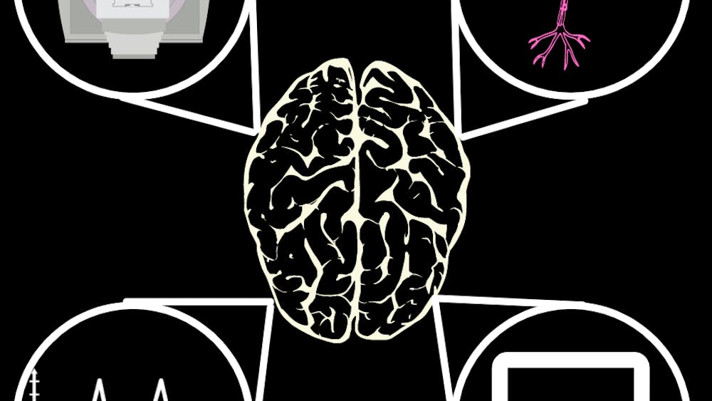 LAKSHAY SOOD/LAYOUT EDITOR
Focus areas within the major range from Cellular and Molecular Neuroscience to the newer Computational Neuroscience track.