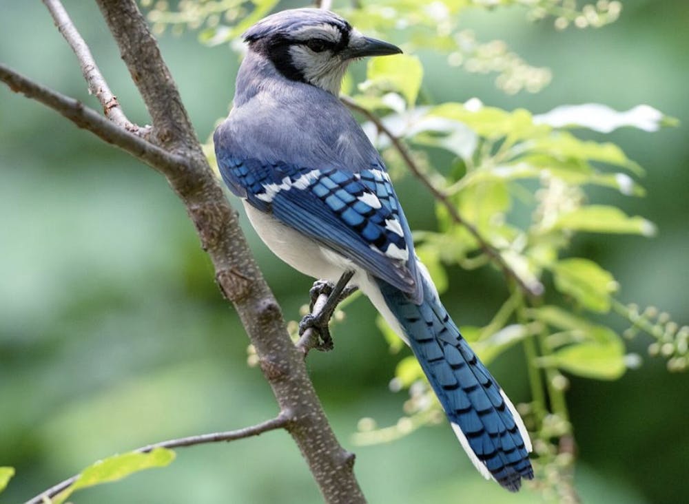 screenshot-2025-11-13-at-12-22-13-pm