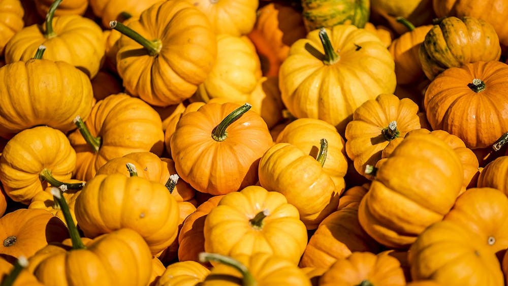 KORONA LACASSE / CC BY 2.0
Grab mini pumpkins at Druid Hill on Saturday night.
