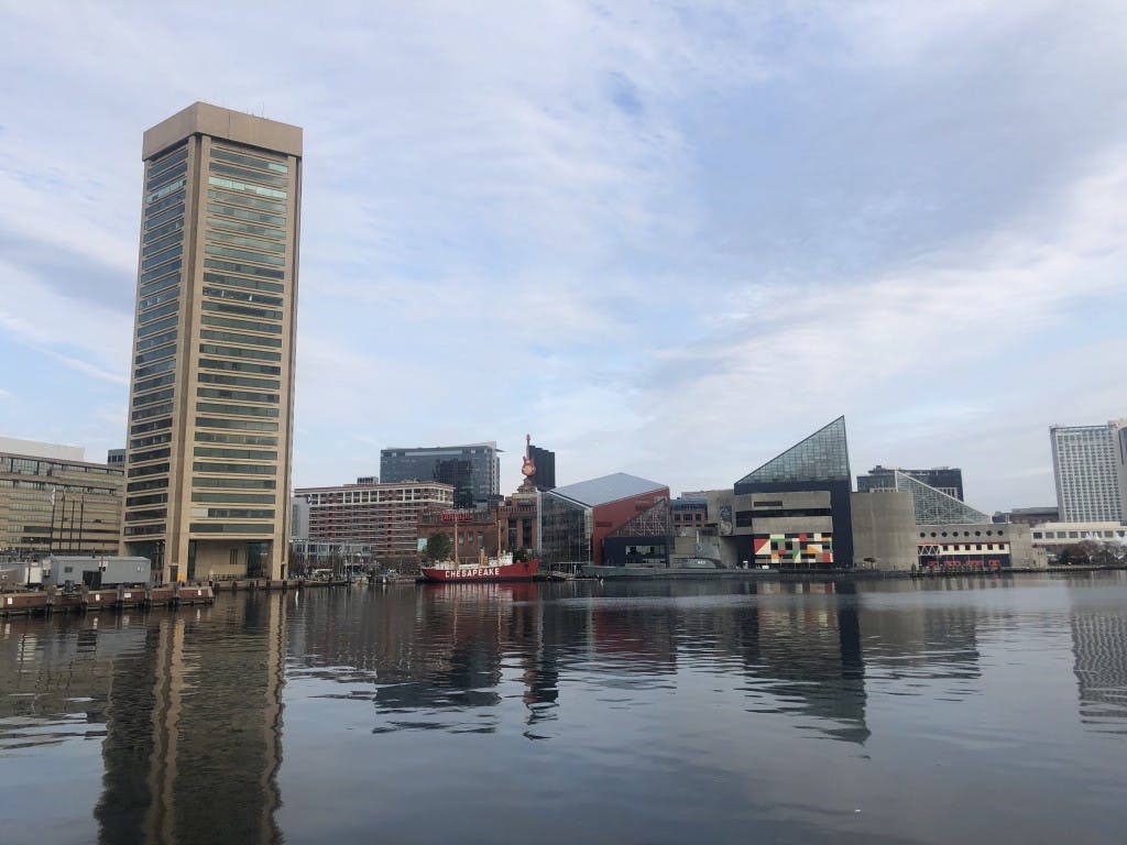 COURTESY OF GRETA MARAS
Get in the St. Patrick's Day spirit and celebrate with the city this weekend!