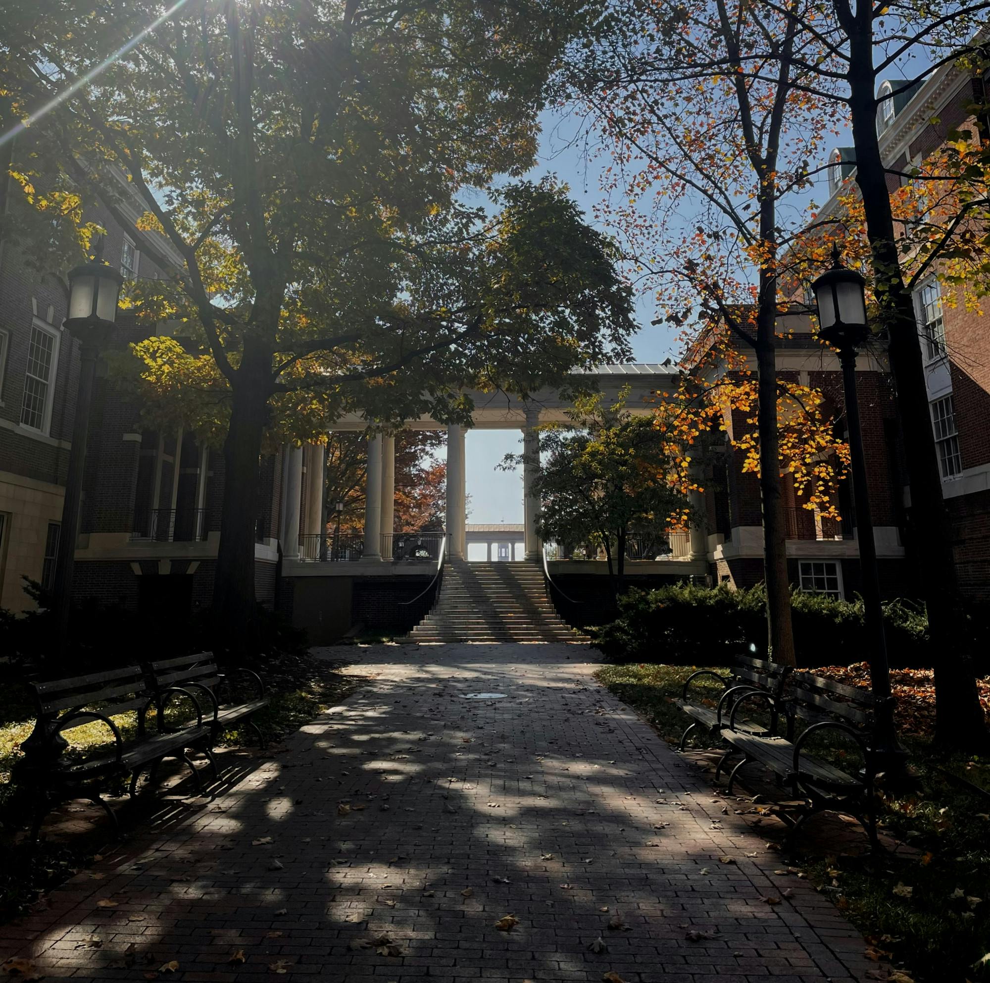 COURTESY OF SARA KAUFMAN
Kaufman reflects on her journey with learning.