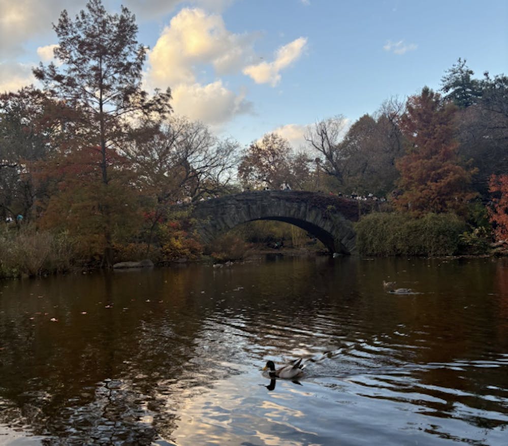 screenshot-2025-11-23-at-11-31-08-am