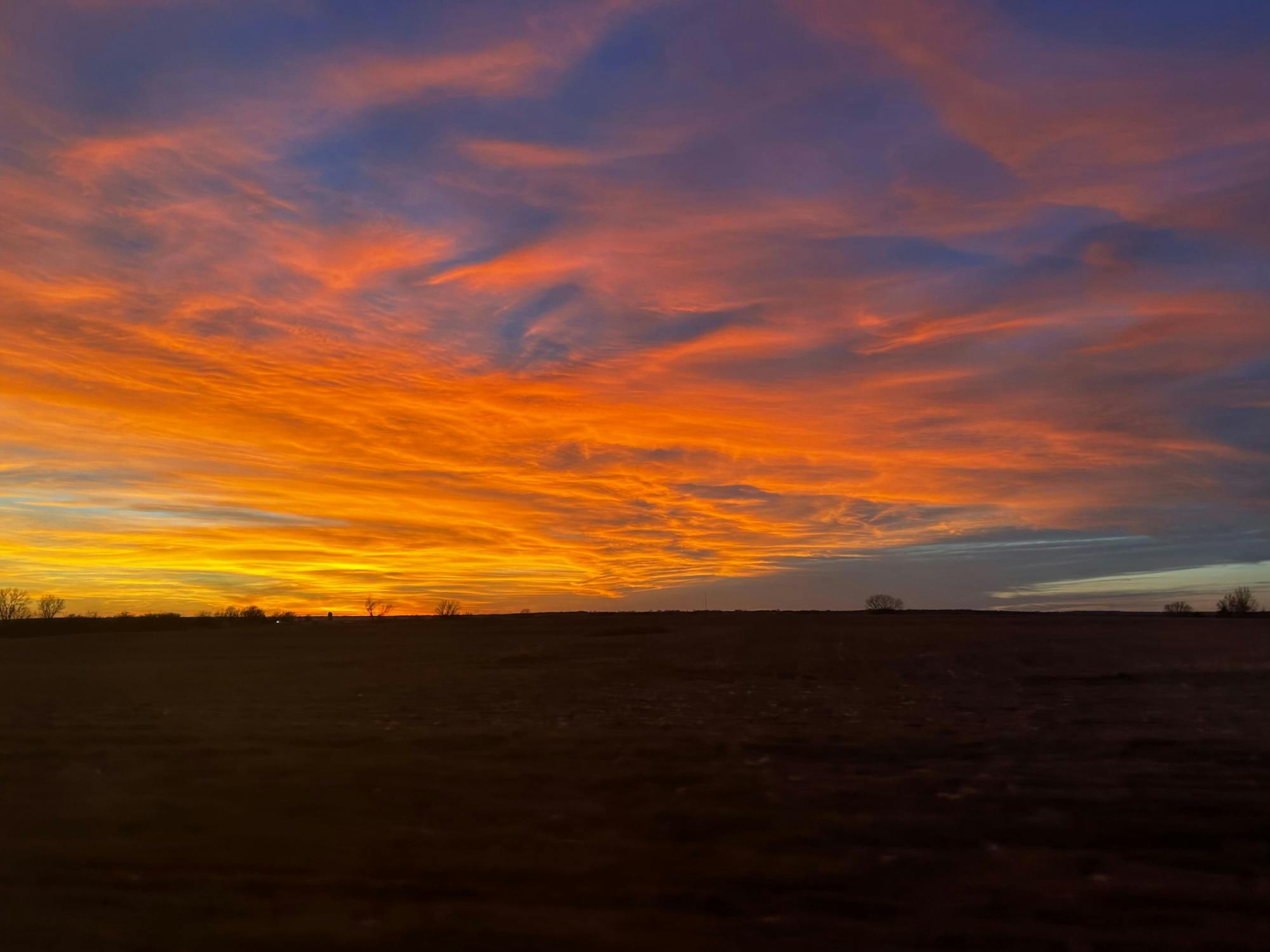 COURTESY OF RILEY STRAIT
Strait observes his age-long habit of observation.