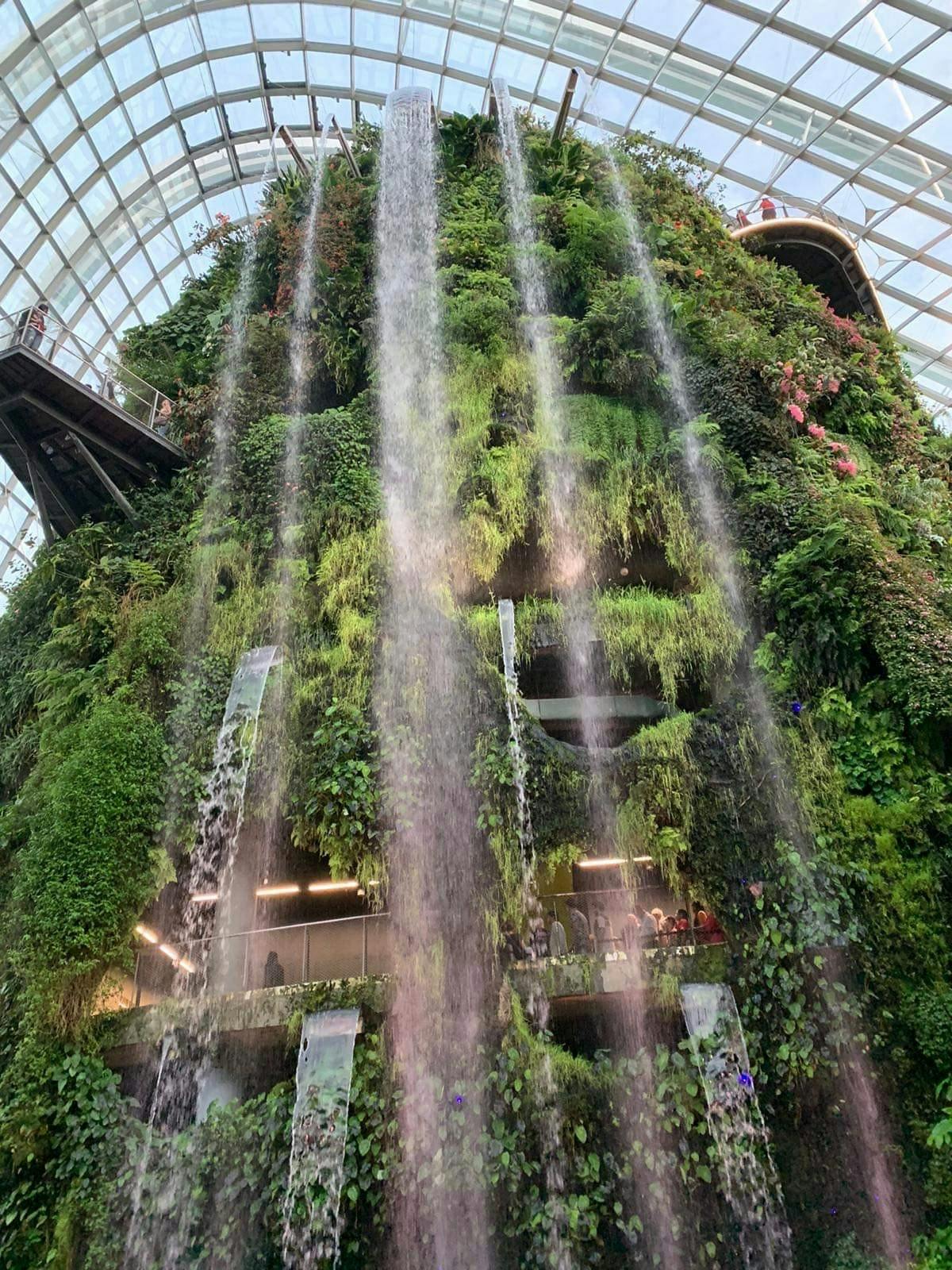 COURTESY OF SANIYA RAMCHANDANI
The Cloud Fores at Gardens by the Bay in Singapore remind Ramchandani of her home.