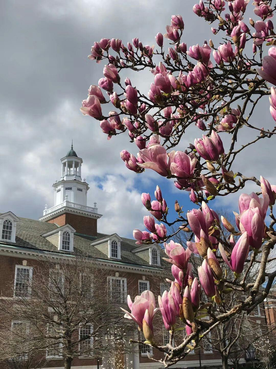 COURTESY OF SHIZHENG TIE
During lockdown, Tie has found a way to escape through nature, among other things.&nbsp;
