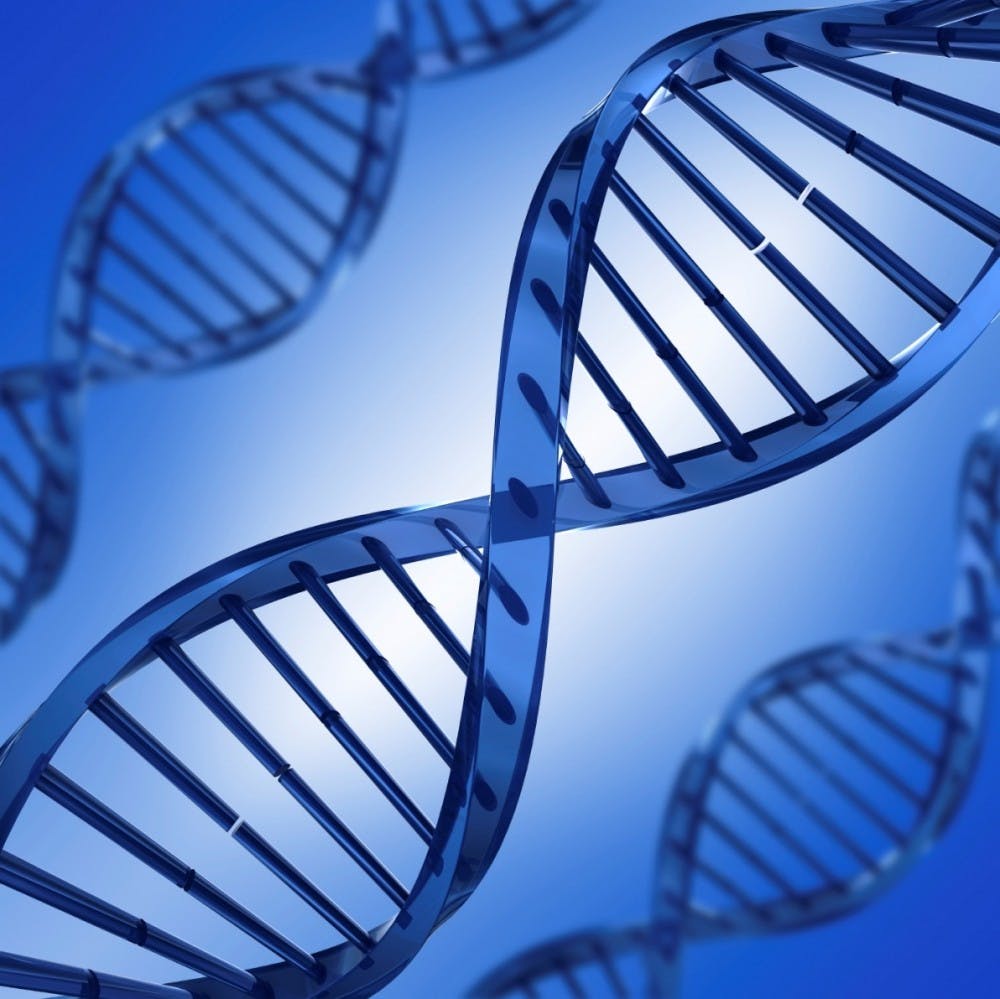 COURTESY OF WWW.FOE.ORG
The knoSYS100 makes it possible for researchers to probe DNA sequences locally.