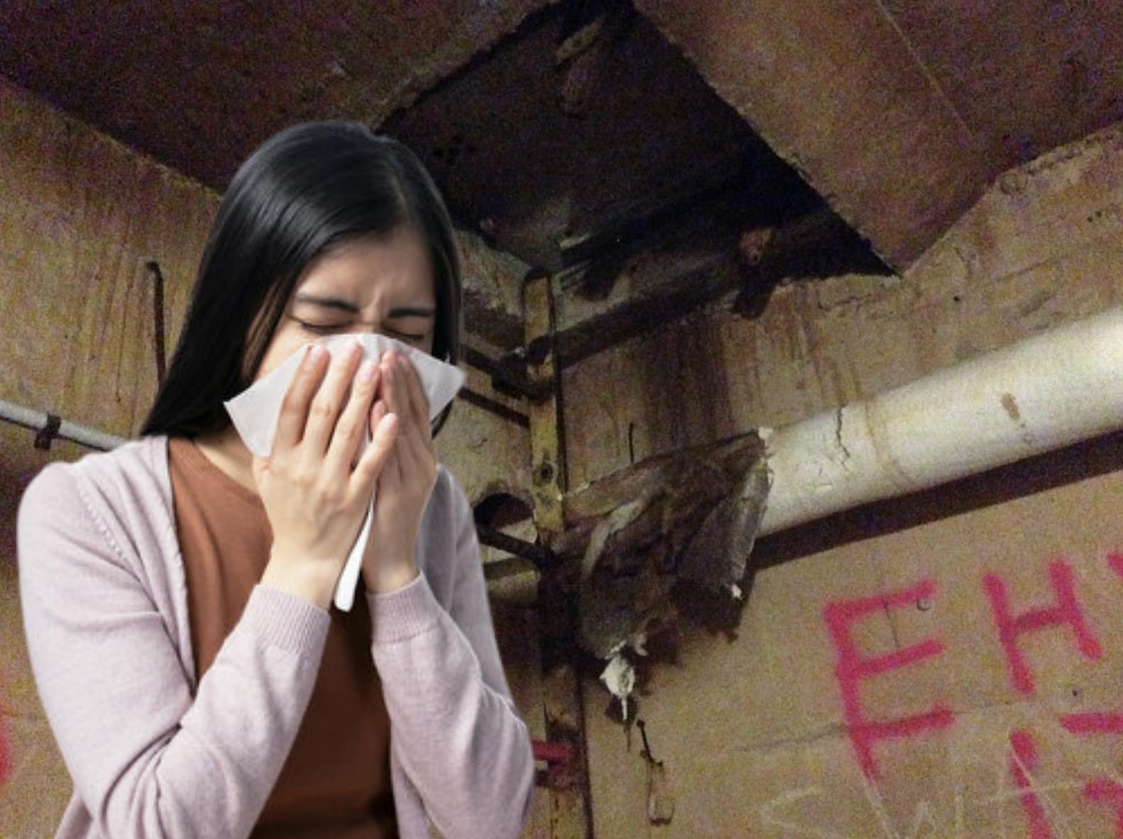 COURTESY OF CLAIRE BADREAU
Ending their contract with the Inn at the Colonnade, the University is testing more cost-effective quarantine options for students.