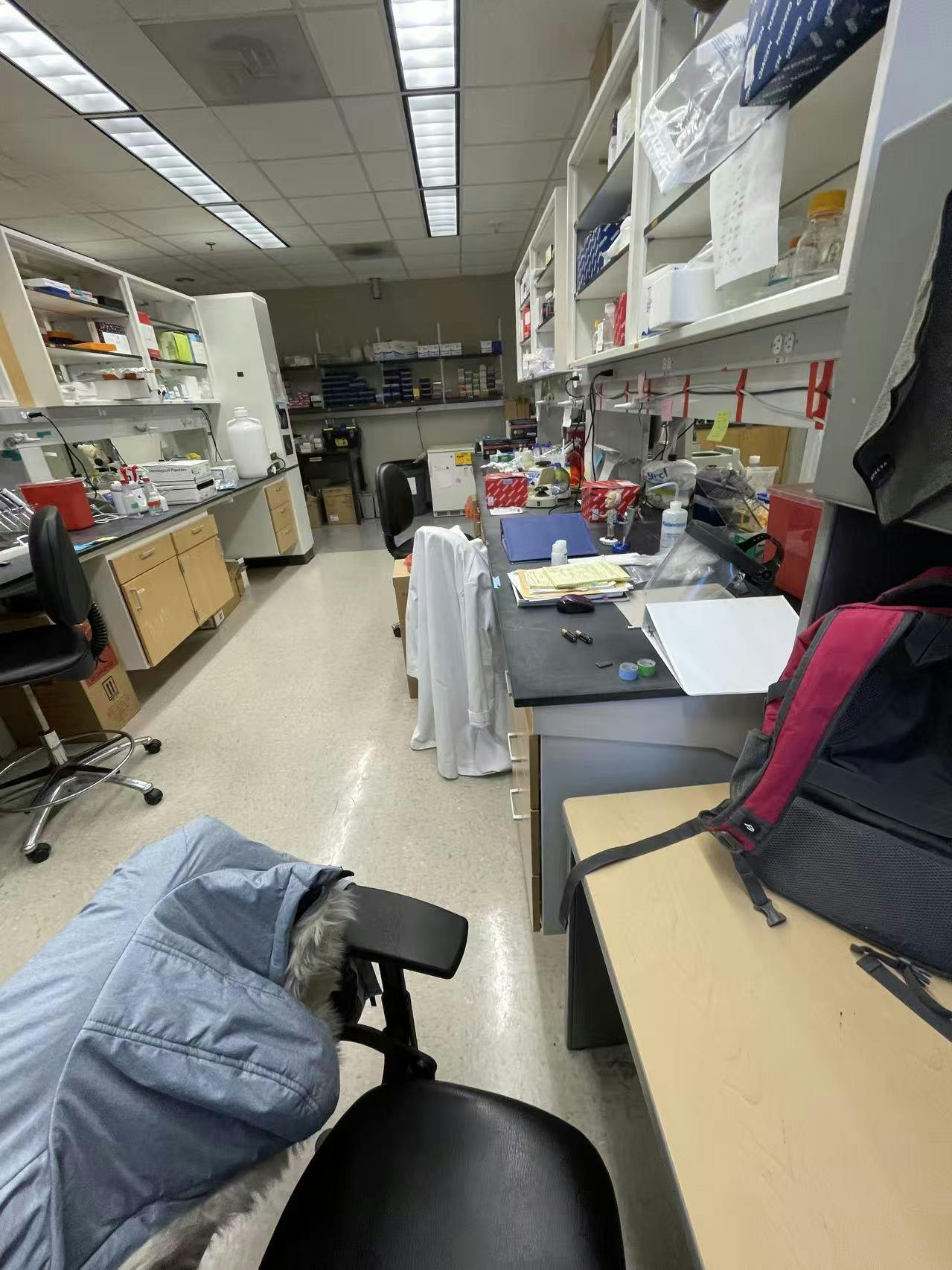 COURTESY OF KATE XIE
Xie discusses her undergraduate research experiences in an interview with The News-Letter.