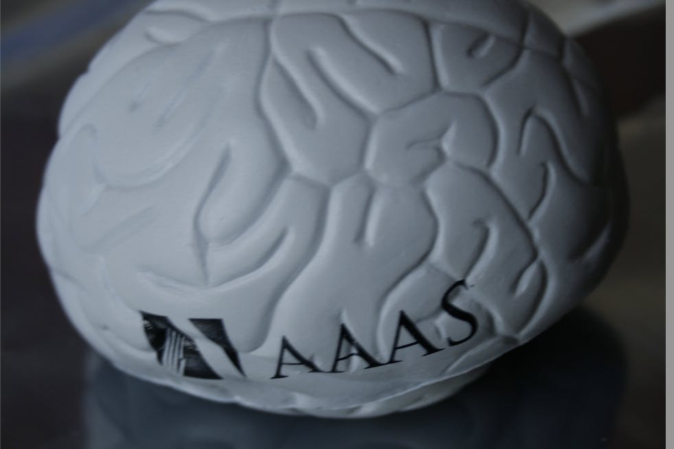 JEAN-ETIENNE MINDH-DUY POIRRIER / CC BY-SA 2.0
10 Hopkins affiliates were recently named among the 2023 class of American Association for the Advancement of Science Fellows.