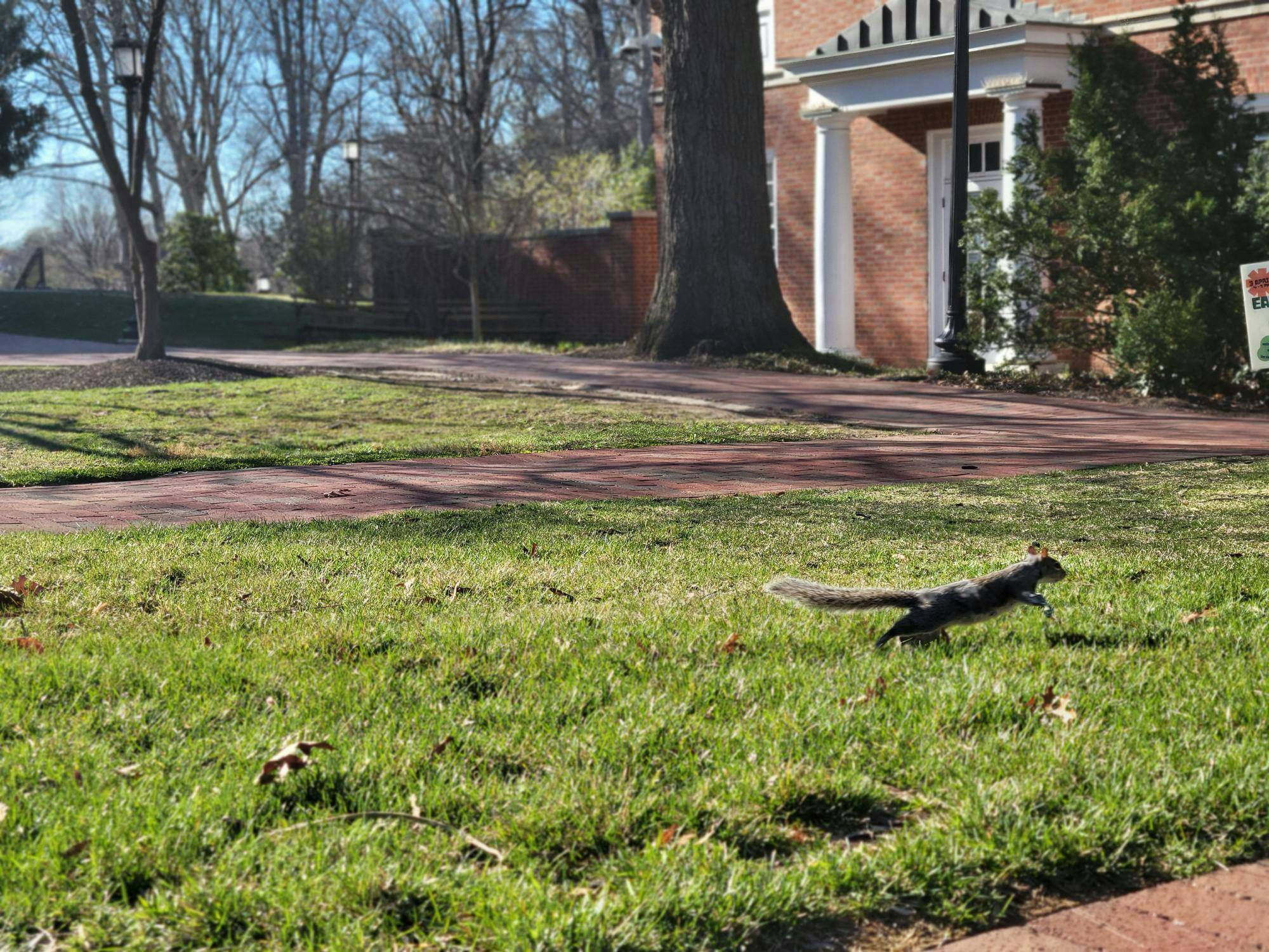 ERIC WANG / STAFF PHOTOGRAPHERCampus sprung to life this month. The weather improved, the trees and flowers bloomed, and the squirrels were active all around campus.